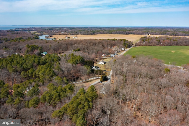 aerial view featuring a forest view