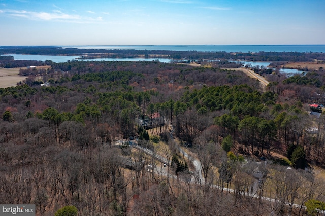 bird's eye view with a water view and a view of trees