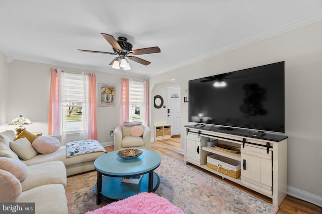 living room featuring ceiling fan, light wood-style flooring, and crown molding