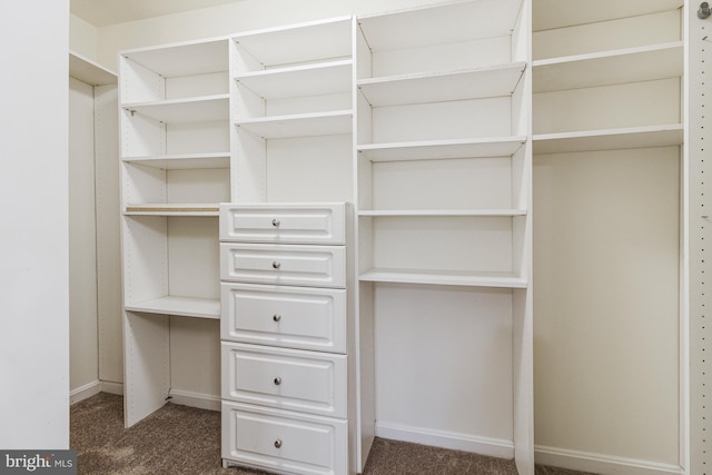 walk in closet featuring dark carpet