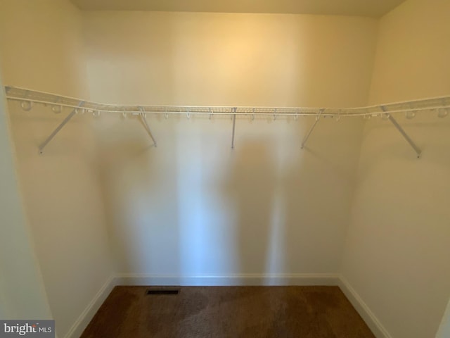 walk in closet with carpet and visible vents