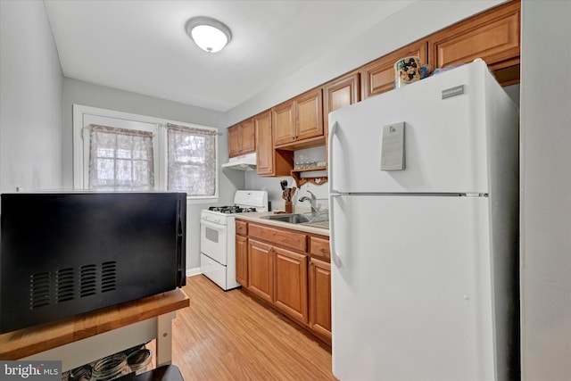 kitchen featuring light wood finished floors, a sink, white appliances, brown cabinetry, and light countertops