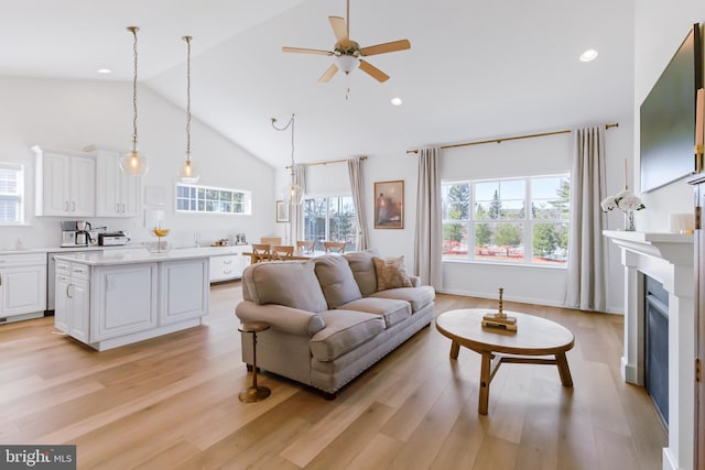 living room featuring a healthy amount of sunlight, a fireplace, and light wood-type flooring