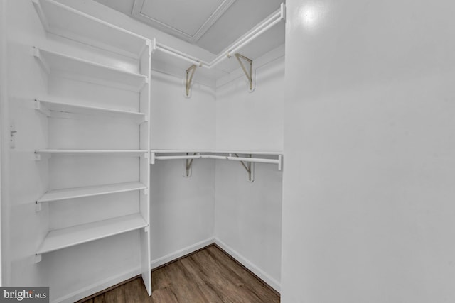 walk in closet with wood finished floors