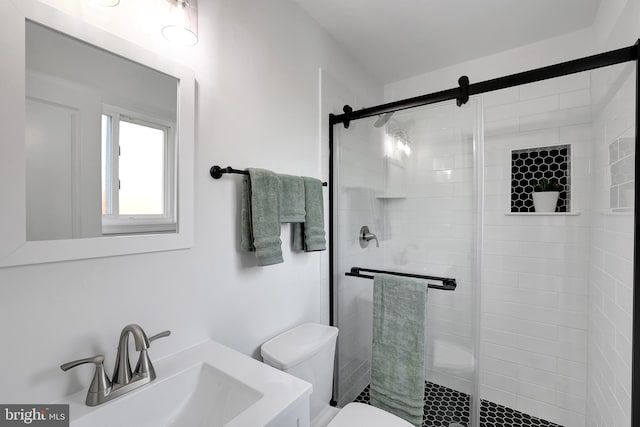 bathroom featuring a sink, a shower stall, and toilet