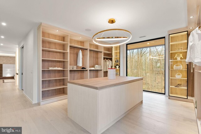 spacious closet with light wood-style floors