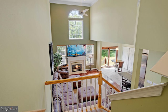 living area featuring a high ceiling, wood finished floors, a fireplace with flush hearth, baseboards, and ornamental molding