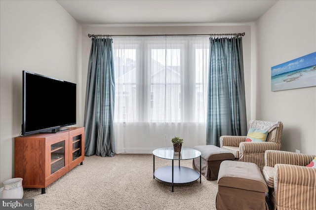 sitting room with carpet