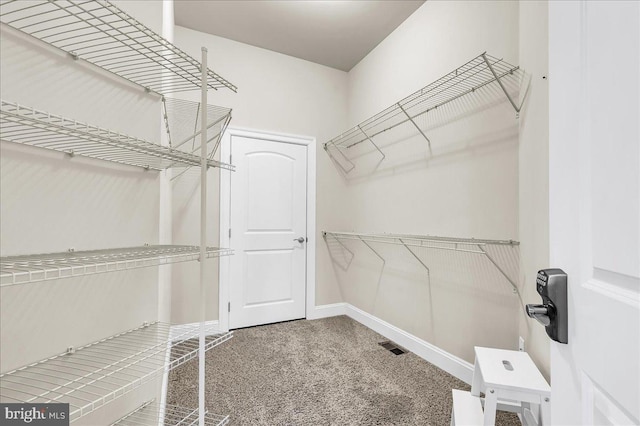 spacious closet with carpet flooring and visible vents