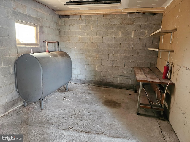 basement with concrete block wall and heating fuel