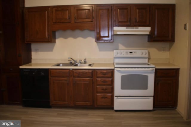 kitchen featuring electric range, under cabinet range hood, a sink, light countertops, and dishwasher