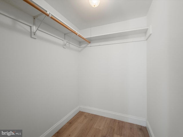 spacious closet featuring light wood-style flooring