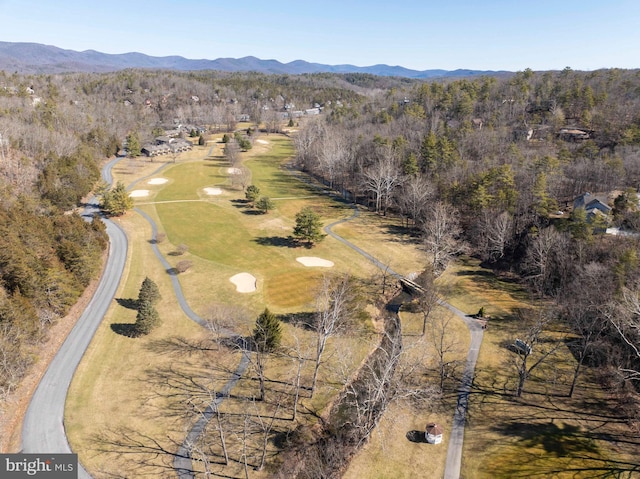 drone / aerial view featuring a mountain view and a view of trees