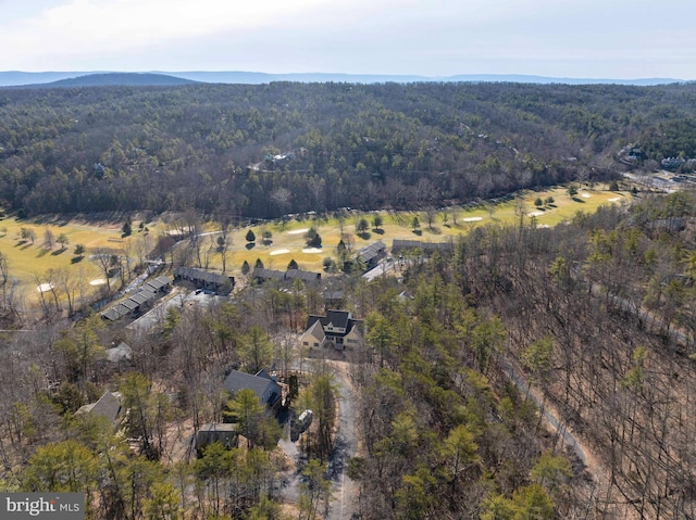 drone / aerial view with a mountain view and a wooded view