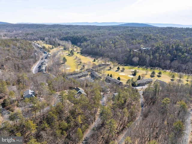 birds eye view of property featuring a mountain view and a view of trees