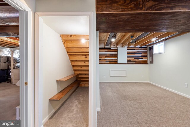 below grade area with baseboards and carpet floors