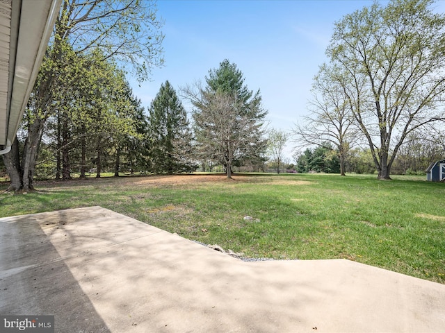 view of yard featuring a patio