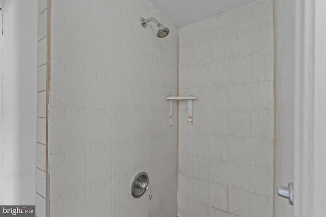 room details featuring walk in shower