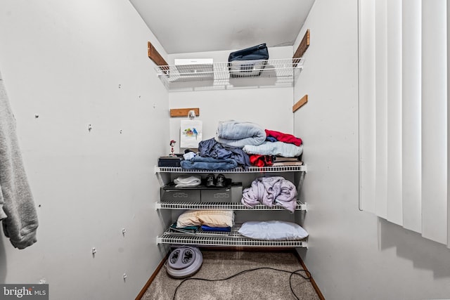 view of spacious closet