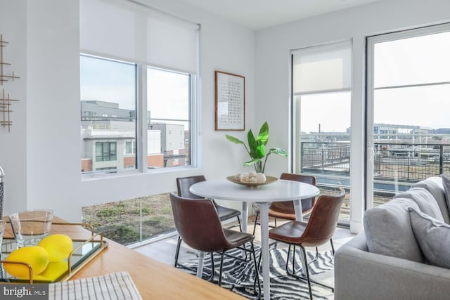 dining room featuring wood finished floors and a healthy amount of sunlight