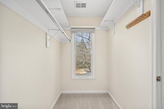 walk in closet featuring carpet and visible vents