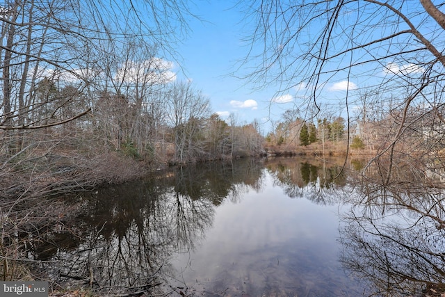 view of water feature featuring a forest view