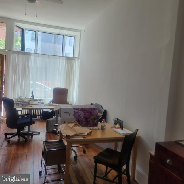 office featuring a wealth of natural light, wood-type flooring, and ceiling fan