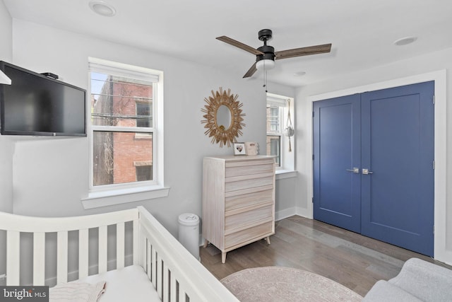 bedroom featuring a ceiling fan, a closet, multiple windows, and wood finished floors