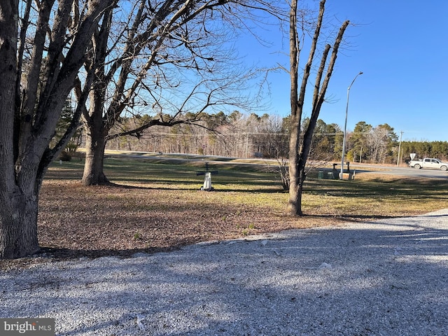 view of home's community with a lawn