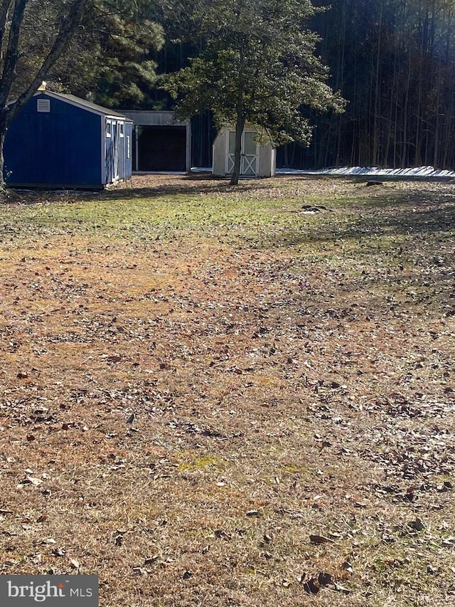 view of yard with a storage shed and an outdoor structure