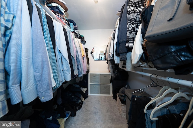 spacious closet with carpet flooring