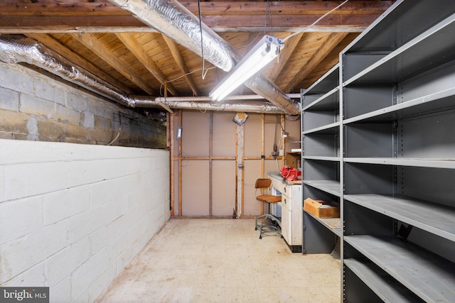 basement with light floors