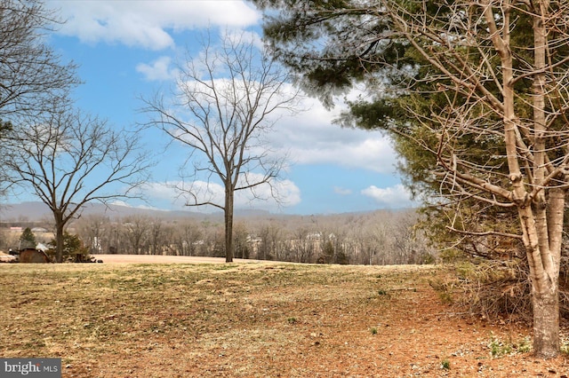 exterior space with a wooded view