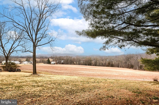 view of yard with a rural view