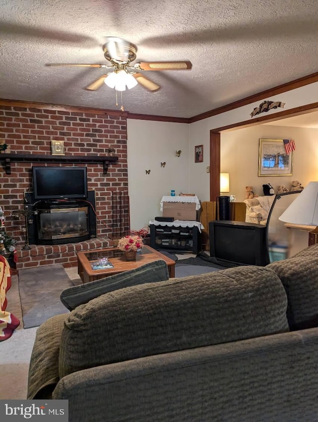 carpeted living area featuring ceiling fan, ornamental molding, and a textured ceiling