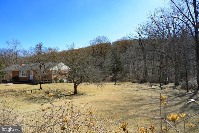 view of yard featuring a wooded view