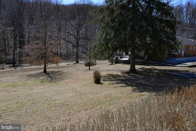 view of yard with a view of trees