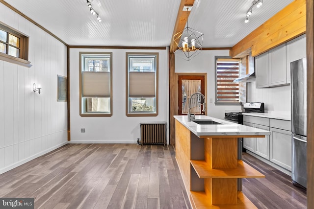 kitchen with a sink, appliances with stainless steel finishes, radiator, dark wood-style floors, and open shelves