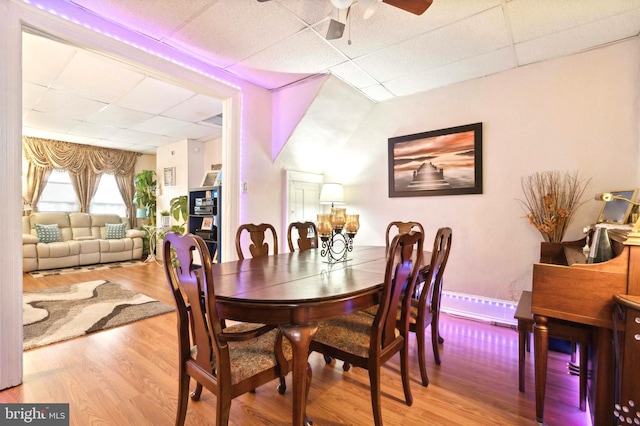 dining room with ceiling fan, a drop ceiling, and wood finished floors