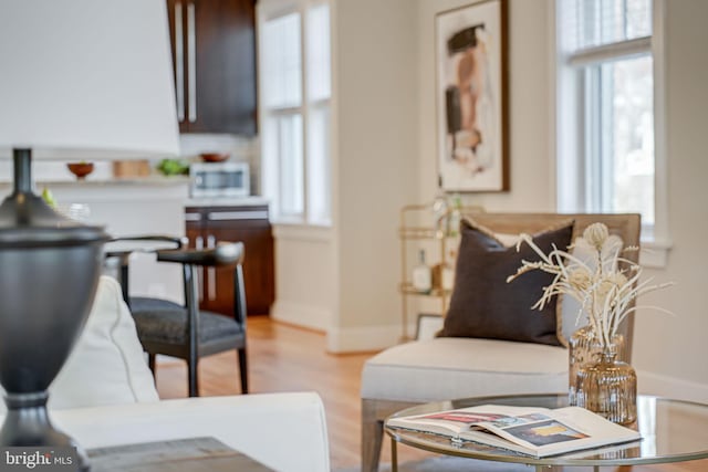 living area featuring plenty of natural light, baseboards, and wood finished floors