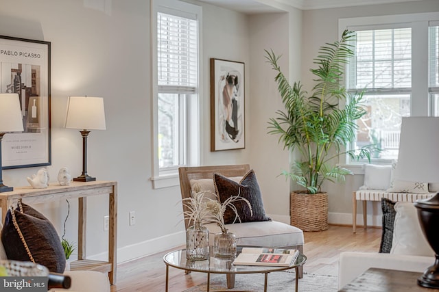 living area with wood finished floors, a healthy amount of sunlight, and baseboards