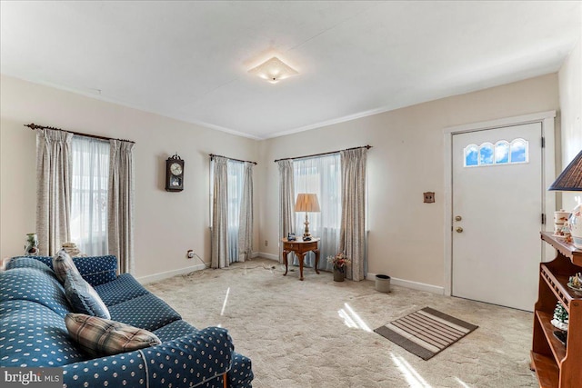 living room with carpet, a healthy amount of sunlight, and baseboards