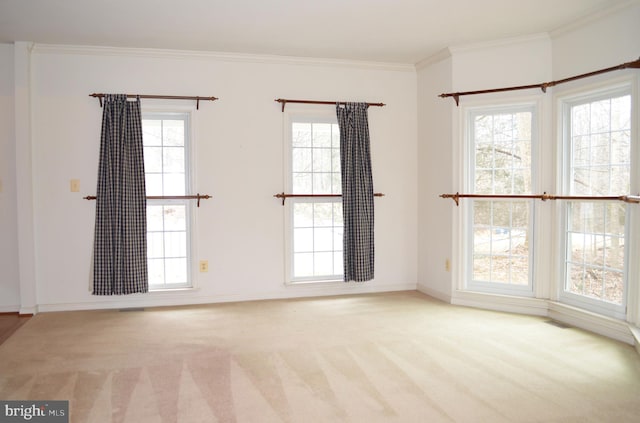 empty room with crown molding, a wealth of natural light, and carpet floors