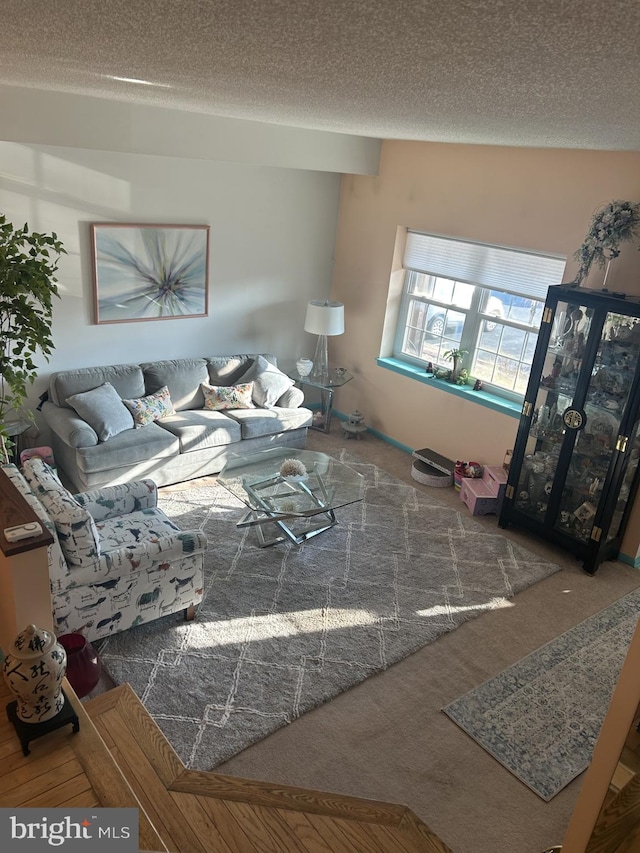 carpeted living area with a textured ceiling