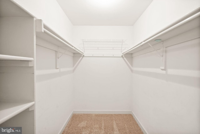 spacious closet with carpet