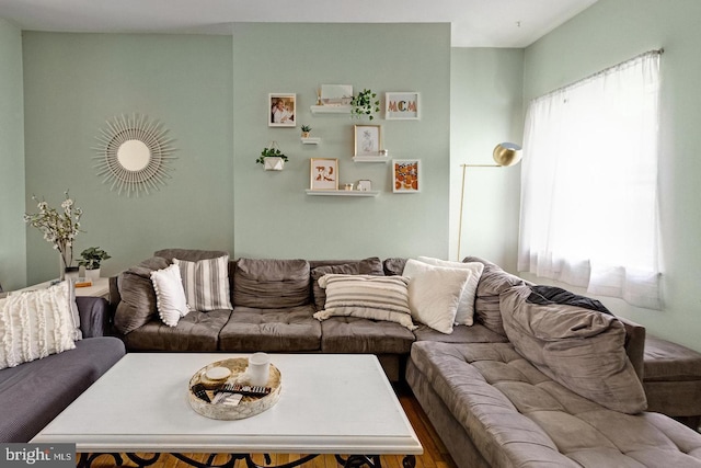 living room featuring plenty of natural light