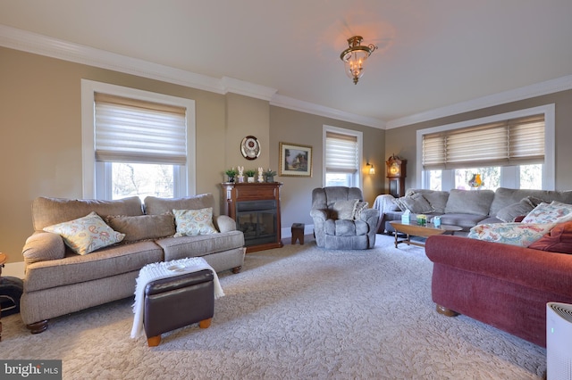 carpeted living area with a glass covered fireplace and ornamental molding