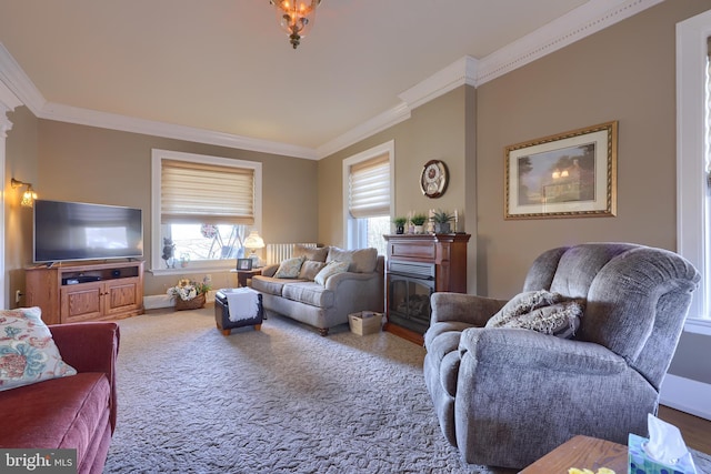 carpeted living area with a glass covered fireplace, crown molding, and baseboards