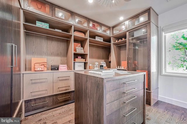 walk in closet with wood finished floors