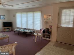 living room featuring a ceiling fan